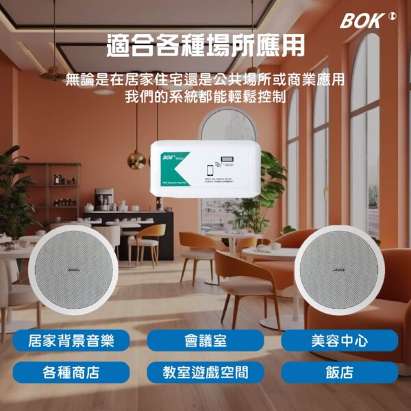 BA220 TWS藍牙小擴大機+ IS-108 8吋崁入式喇叭 白色高壓（2支）：圖片 3