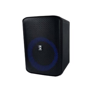 MS Model 801 攜帶式藍芽彈唱直播音響